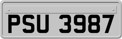 PSU3987