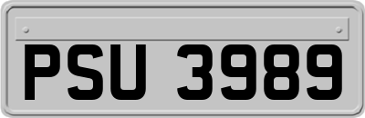 PSU3989