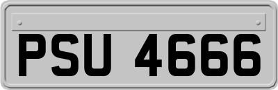 PSU4666