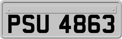 PSU4863