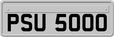 PSU5000
