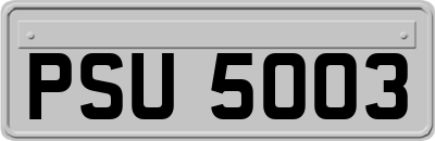 PSU5003