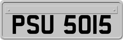 PSU5015