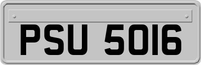 PSU5016