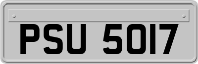 PSU5017