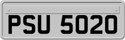 PSU5020