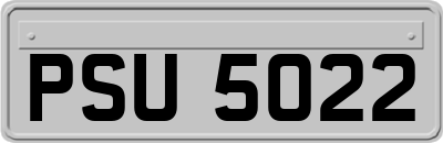 PSU5022