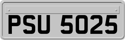 PSU5025