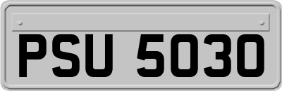 PSU5030