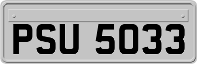 PSU5033