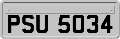 PSU5034