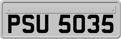 PSU5035