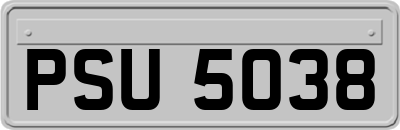 PSU5038