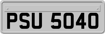PSU5040