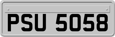 PSU5058