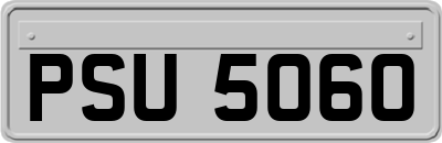 PSU5060