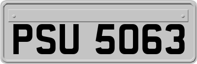 PSU5063