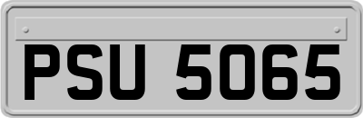 PSU5065