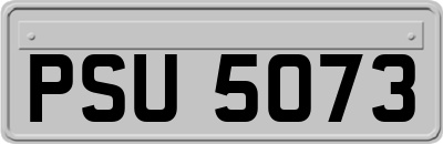 PSU5073