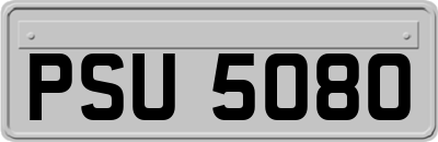 PSU5080