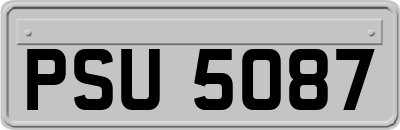 PSU5087