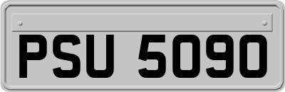 PSU5090