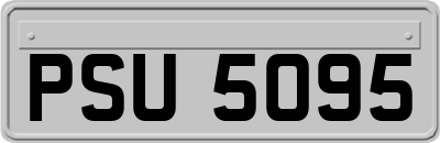 PSU5095