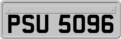 PSU5096