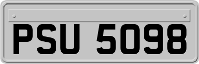 PSU5098