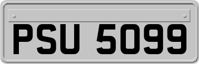 PSU5099