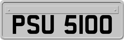 PSU5100