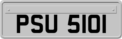 PSU5101