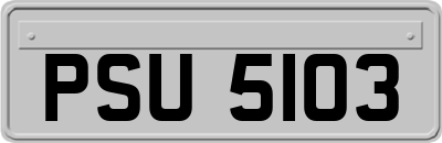 PSU5103