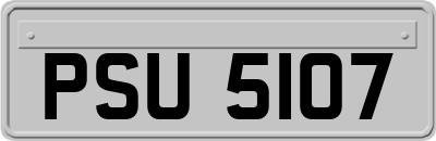 PSU5107