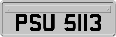 PSU5113