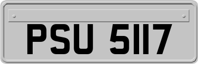 PSU5117