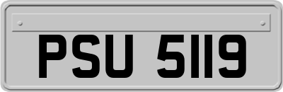 PSU5119