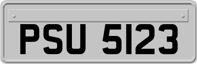 PSU5123