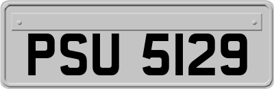 PSU5129