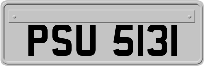PSU5131