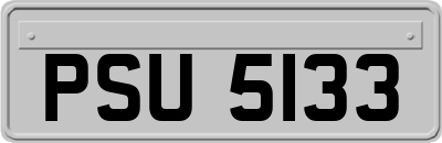 PSU5133
