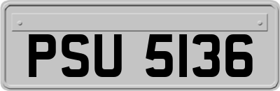 PSU5136