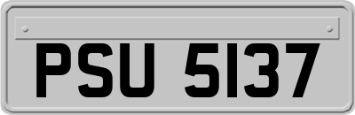 PSU5137