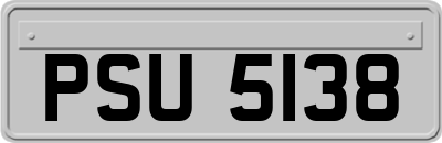 PSU5138