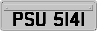 PSU5141