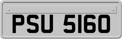PSU5160