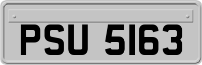 PSU5163