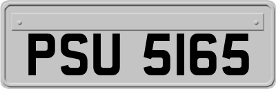 PSU5165