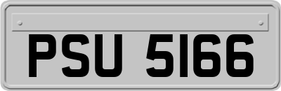 PSU5166