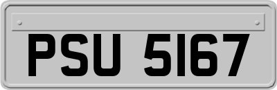 PSU5167